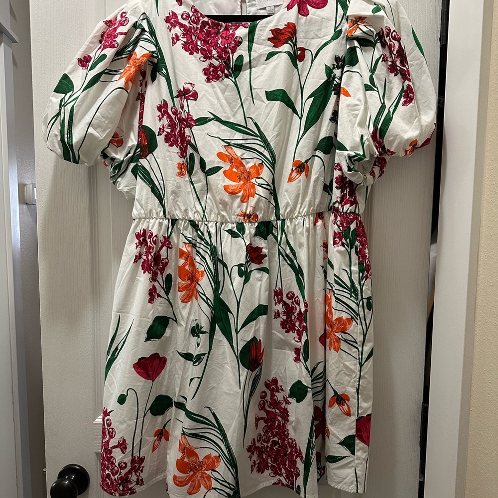 Sugarlips Curve Floral Puff Sleeve Dress NWOT size 2X
